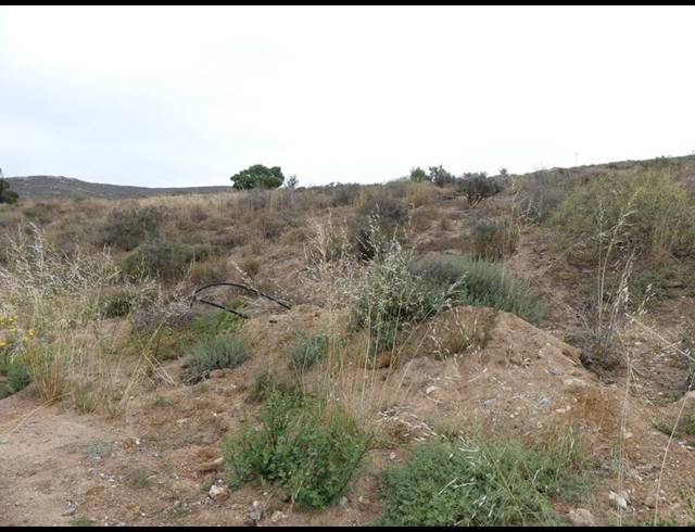 LAND FOR SALE IN SANDY POINT